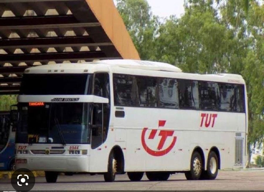 MT:  Cinco imóveis de R$ 7,6 milhões da massa falida da TUT Transportes vão a leilão no próximo dia 21