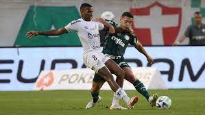 Após derrota em clássico, veja quais são as chances matemáticas do Palmeiras conquistar título do Brasileirão