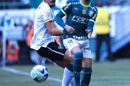 Palmeiras sofreu apenas três derrotas contra o Botafogo desde 2016, sendo duas como visitante; veja retrospecto