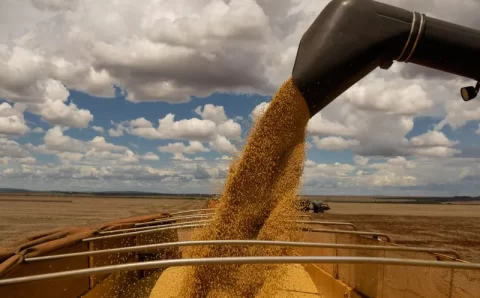 PIB da soja e do biodiesel em 2023 deve crescer mais de 20%