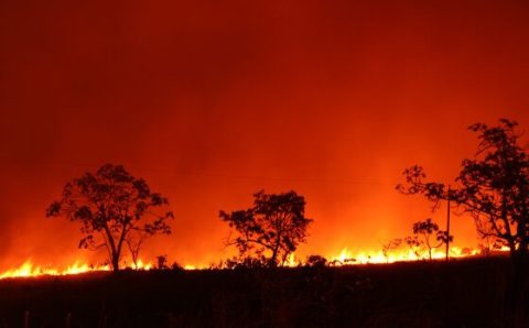 MT:   ESTIAGEM:   Período proibitivo de queimadas em Mato Grosso é prorrogado até 30 de novembro