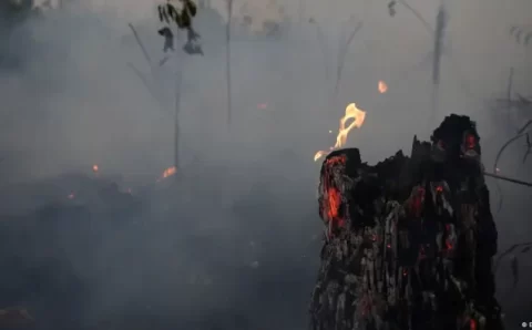 Após recorde, emissões brasileiras caem 8% em 2022