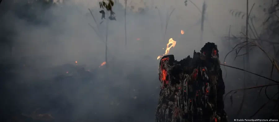Após recorde, emissões brasileiras caem 8% em 2022
