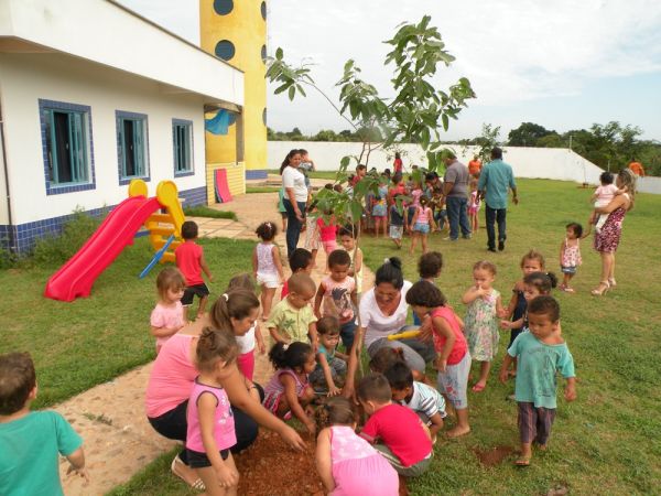 MT:  Arborização em creche no Jardim Reis conscientiza crianças sobre meio ambiente