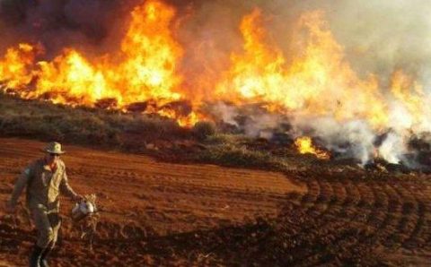 MT:  CALAMIDADE PÚBLICA:   Estado entra em emergência ambiental devido aos incêndios no Pantanal