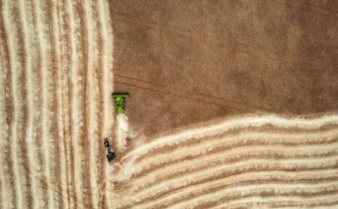 RURAL E AGRÍCOLA:   Procura por seguros aumenta e traz tranquilidade aos produtores rurais