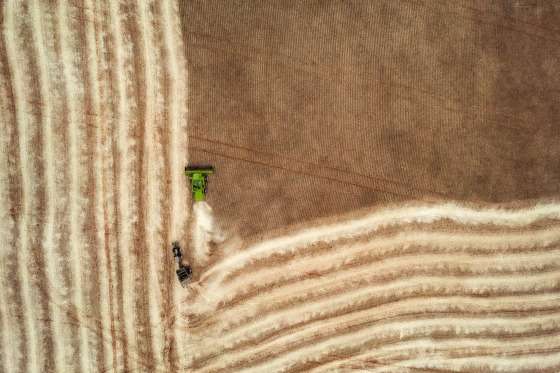 RURAL E AGRÍCOLA:   Procura por seguros aumenta e traz tranquilidade aos produtores rurais