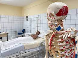 Seciteci e Seduc firmam parceria para ofertar cursos técnicos no Ensino Médio