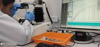 Com apoio do Estado, pesquisadores desenvolvem película biodegradável para conservação de alimentos