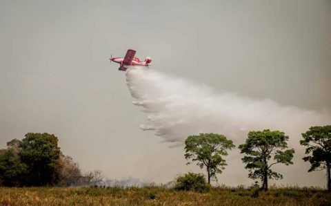 MT:  RISCO DE INCÊNDIOS:   Ministério do Meio Ambiente decreta emergência ambiental em MT