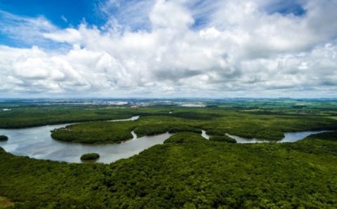 Por que o futuro do agronegócio depende da preservação do meio ambiente no Brasil