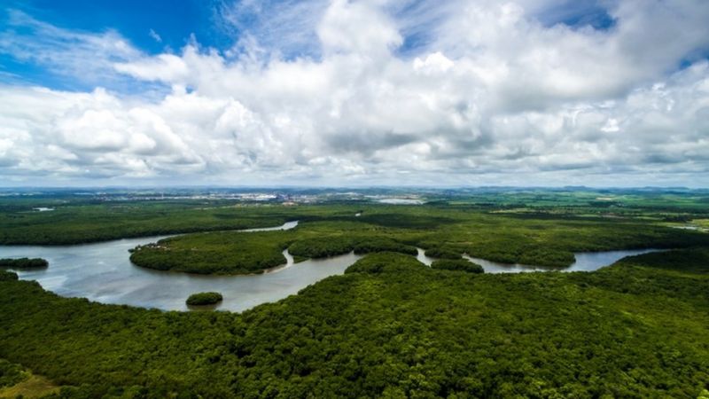 Por que o futuro do agronegócio depende da preservação do meio ambiente no Brasil