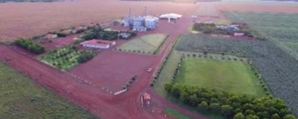 MT:  NA AGROPECUÁRIA:  Justiça defere recuperação judicial de grupo com dívida de R$ 124 milhões