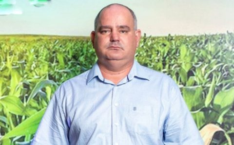 MT:  DE CAMPO NOVO DO PARECIS:   Produtor de MT é campeão ao colher 237,6 sc/ha de milho