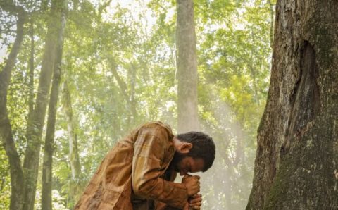 Morte inesperada e trágica fez Globo promover importante mudança em impactante cena para o remake de ‘Renascer’