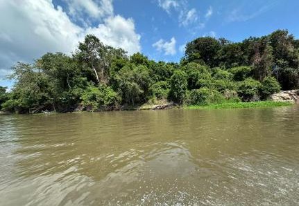 MT:  DANO AMBIENTAL:  Deputado acusa poluição de rio com rejeitos de garimpo