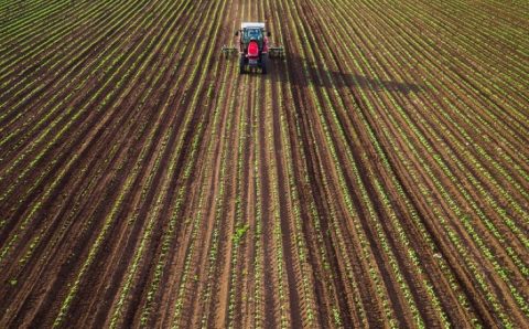 Condições climáticas impactam plantio de soja em MT, com projeção de 42 milhões de toneladas