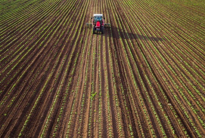 Condições climáticas impactam plantio de soja em MT, com projeção de 42 milhões de toneladas