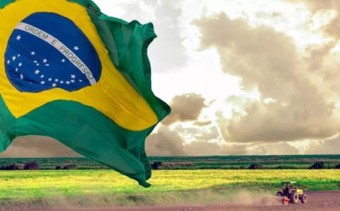 A COP, conferência mais importante sobre mudanças climáticas, é desconhecida por 76% dos brasileiros