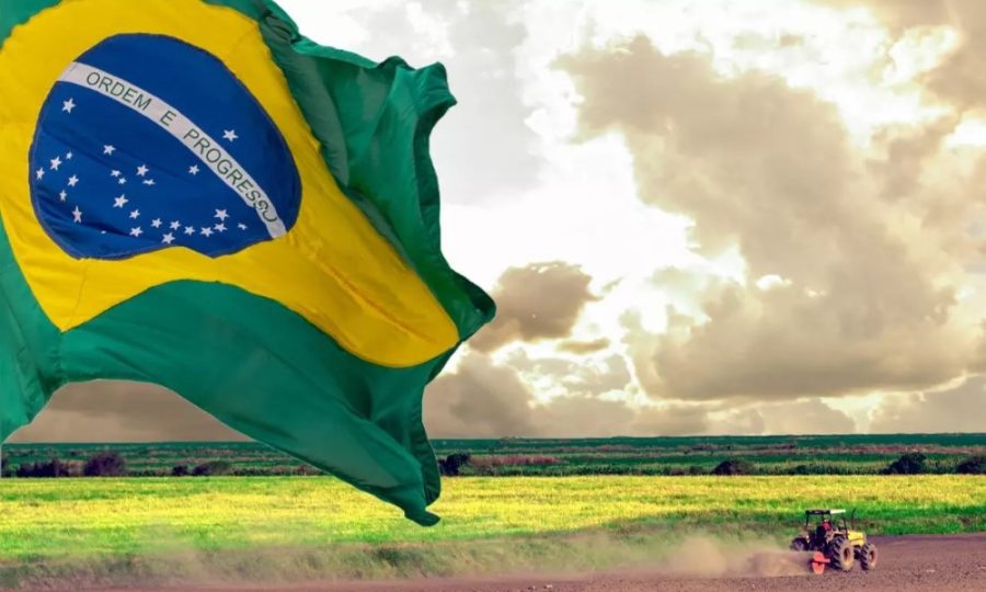 A COP, conferência mais importante sobre mudanças climáticas, é desconhecida por 76% dos brasileiros