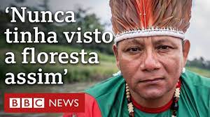 Seca histórica na Amazônia pode levar floresta a ponto de ‘não retorno’?