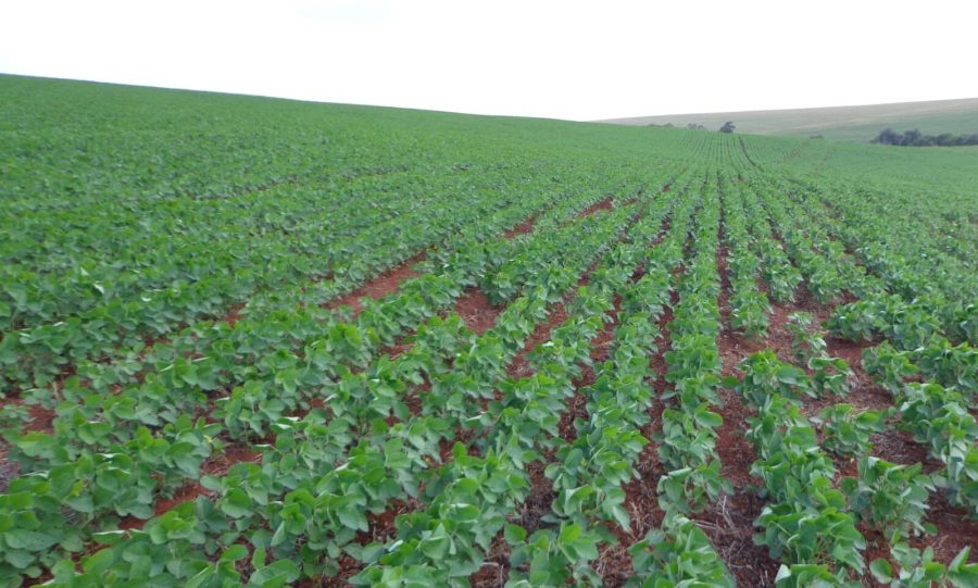 Mapa trabalha para uma gestão contemporânea com novas oportunidades para o agro brasileiro