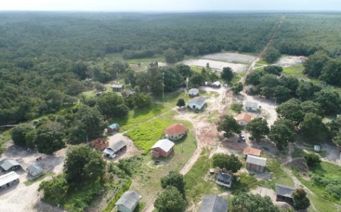 MT:  NEGÓCIOS X SUSTENTABILIDADE:   Mauro Mendes defende exploração comercial de terras indígenas
