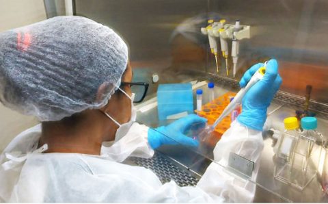 MT:  1º REGISTRO NO BRASIL:   Saúde monitora subvariante de Covid em MT e alerta para cuidados