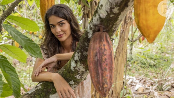 Estreia de ‘Renascer’: Globo usa tática antiga e certeira para alavancar audiência em primeiro capítulo de novela; o que será?