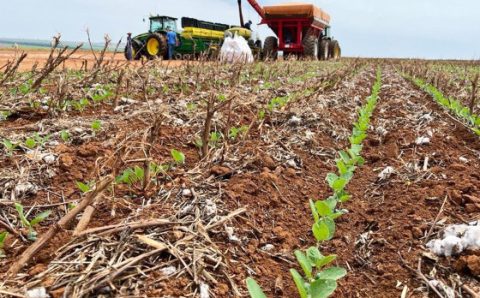 MT:  SAFRA 2023/2024:   Aprosoja pede US$ 1,9 bilhão para “salvar” produção em MT