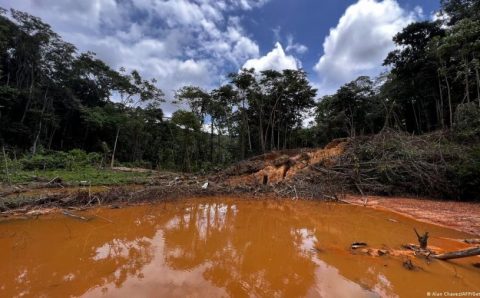 Garimpo e malária ainda assolam yanomamis