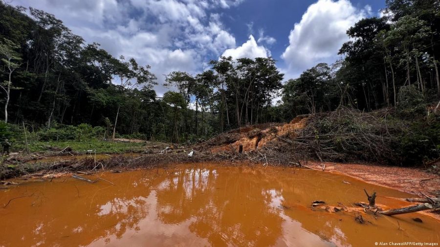 Garimpo e malária ainda assolam yanomamis