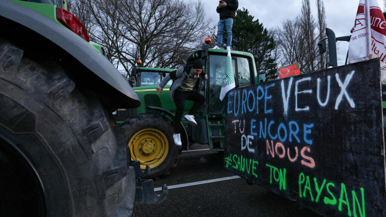 Decisão da França de bloquear acordo entre UE e Mercosul é política e racha o bloco, diz especialista