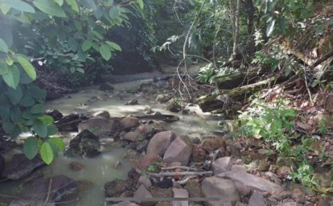 MT:  Agricultura protege e preserva 95% das nascentes em MT