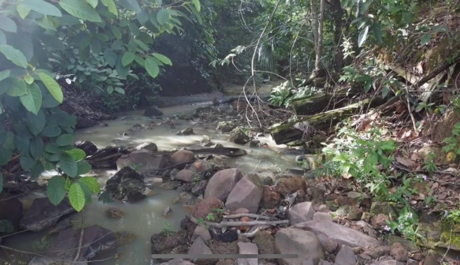 MT:  Agricultura protege e preserva 95% das nascentes em MT