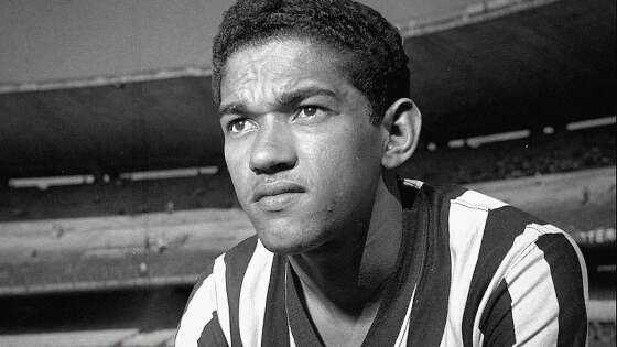 GARRINCHA:  Quarenta e um anos depois