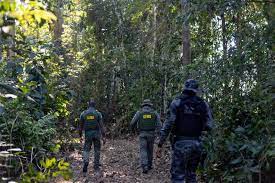 Sema-MT realizou 270 operações contra crimes ambientais e desmatamento ilegal em 2023