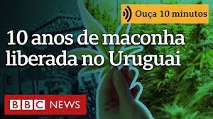 10 números que mostram o que mudou no Uruguai 10 anos após legalização da maconha