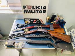 Força Tática apreende arsenal de armas e prende homem por furto e receptação