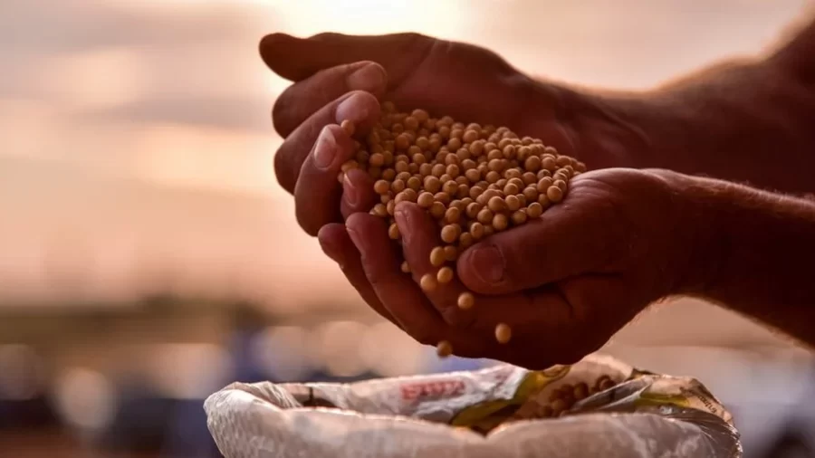QUEBRA MONUMENTAL:   Safra de soja deve ficar abaixo de 135 milhões de toneladas, diz Aprosoja Brasil