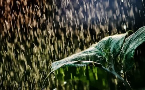 COMO SERÁ O DIA:    Previsão do tempo para hoje; chuva se espalha pelo Brasil e pode causar prejuízo