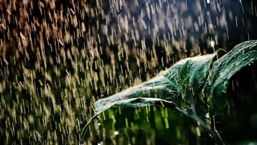 COMO SERÁ O DIA:    Previsão do tempo para hoje; chuva se espalha pelo Brasil e pode causar prejuízo