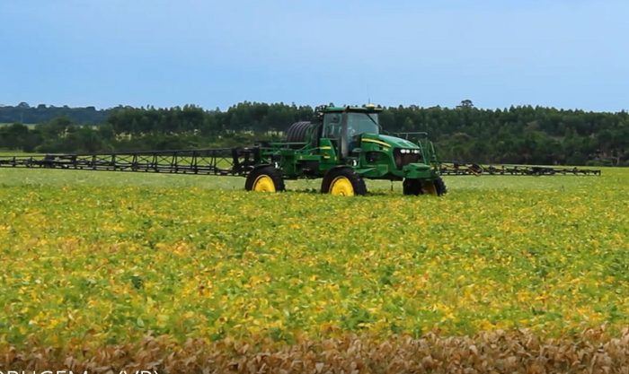 Indefinição da produção de soja no Brasil impede reação dos preços, diz Imea