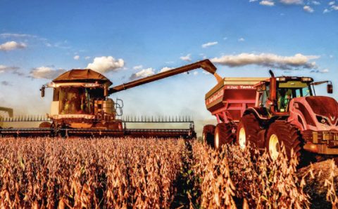MT:   RALLY DA SAFRA:   Agroconsult reduz estimativa de produção de soja para 152,2 milhões t; MT puxou para baixo