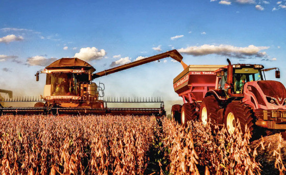 MT:   RALLY DA SAFRA:   Agroconsult reduz estimativa de produção de soja para 152,2 milhões t; MT puxou para baixo