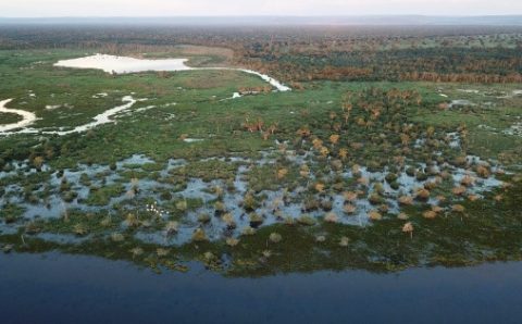 MT:  PANTANAL:   Rios que integram o Alto Paraguai mantêm baixo nível em MT