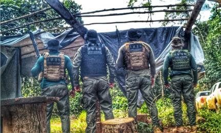Madeireira é fechada durante operação de combate a desmatamento ilegal