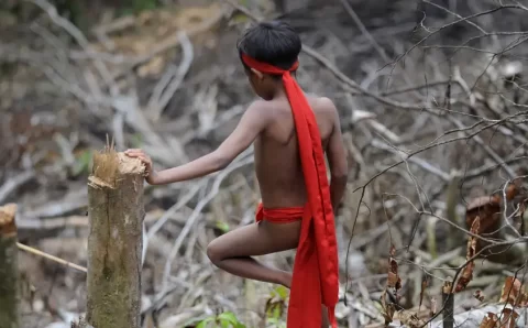 Como governo quer combater a fome na Terra Indígena Yanomami