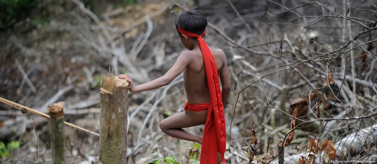 Como governo quer combater a fome na Terra Indígena Yanomami