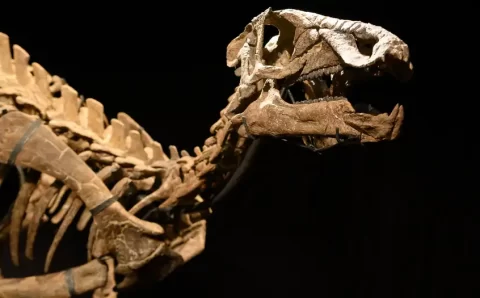 Há 200 anos ciência reconhecia o primeiro dinossauro